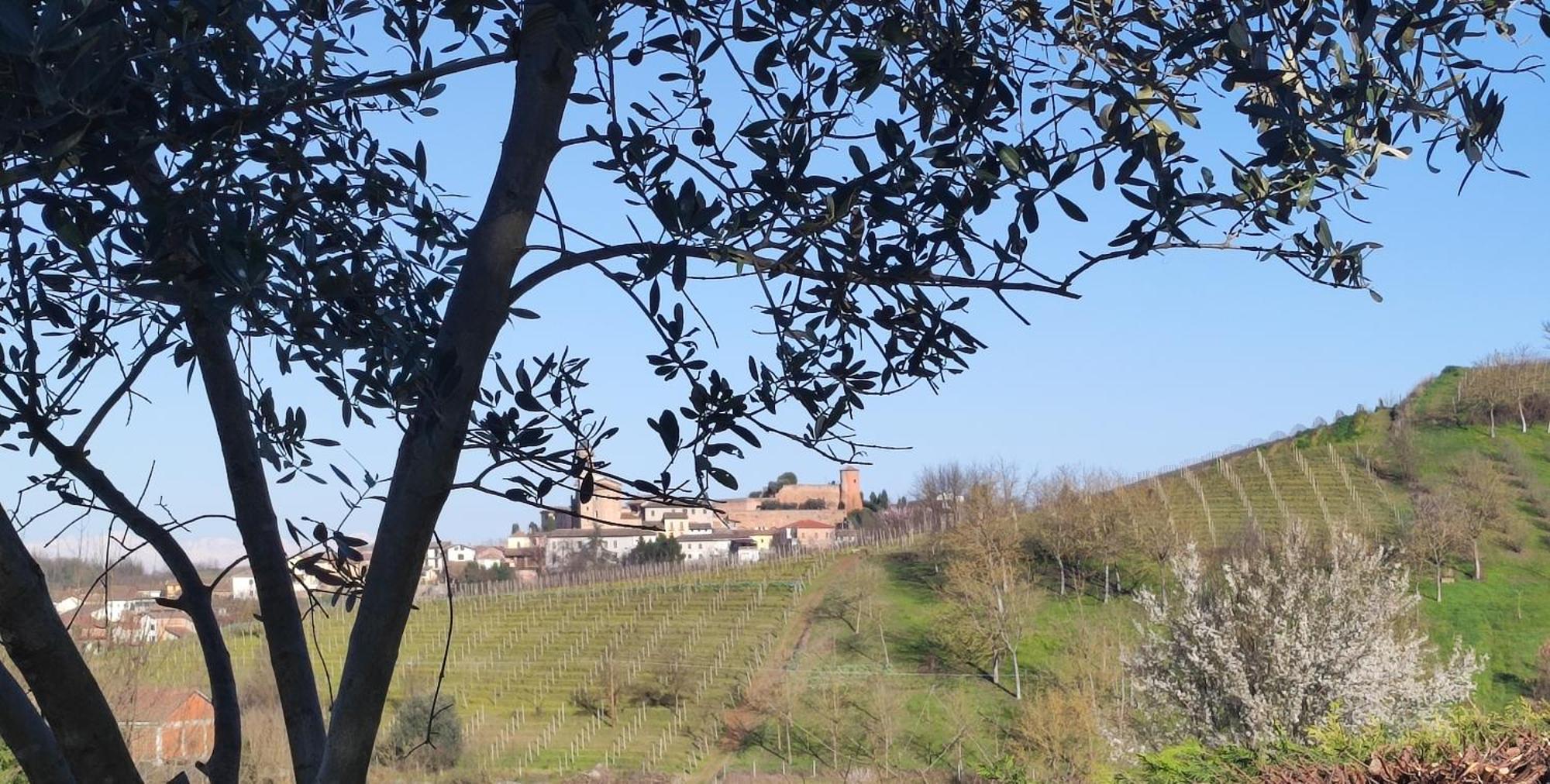 Villa Casa San Rocco Castelnuovo  Esterno foto